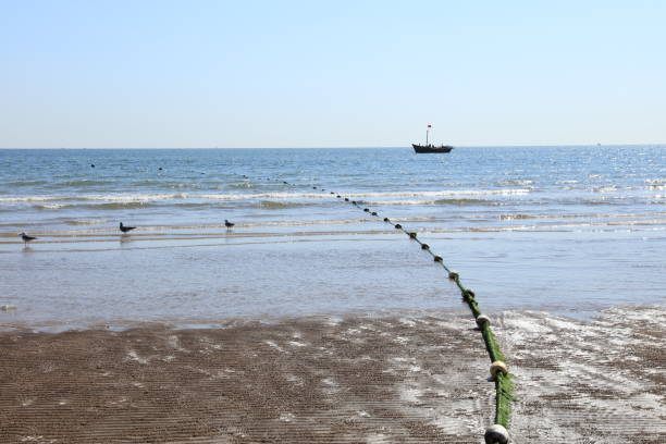 A peaceful scene of a sandy beach with gentle ocean waves rolling in under a clear blue sky. The image captures the serene beauty of the coastline, perfect for conveying relaxation, nature, and the simplicity of the seaside environment.