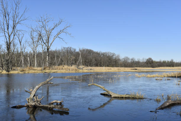 istock Ice Forming on the Pond 1286244734