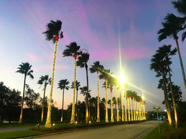 Dolphin Mall Shopping Entrance at sunset, Miami, Florida, USA Miami, Florida, United States - November 17, 2020: General landscape view of Dolphin Mall Shopping Center entrance from Northwest 12th Street in Miami, during the second wave of Covid-19 Corona Virus Quarantine in a sunny winter sunset afternoon. The Shopping Mall is located at 11401 NW 12th St, in Sweetwater, Miami-Dade County. The entrance is decorated with Christmas Lights and ornaments welcoming the most higher season of the year for sales.


The shopping is the biggest outlet in Miami Area, has 240 retails, the most famous brands around the world as: Adidas, Nike, Calvin Klein, Victory Secrets and much more, divided into three districts: Playa (Beach), Ramblas (Boulevards), and Moda (Fashion), and has nine zones. kendall stock pictures, royalty-free photos & images