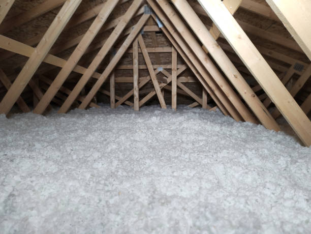 屋根裏断熱材 - insulation roof attic home improvement ストックフォトと画像