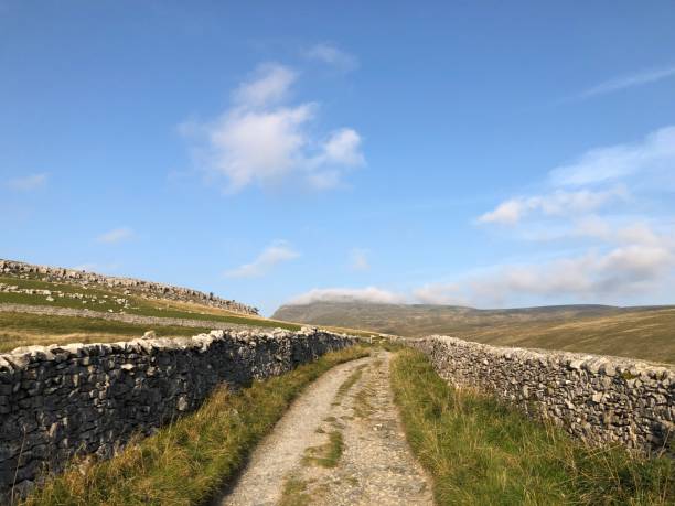istock Footpath ascending to Ingleborough, Three Peaks, Ingleton, Yorkshire Dales, Yorkshire, England, United Kingdom 1286254915
