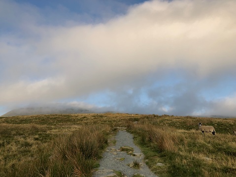 Ascent of Ingleborough during mist and Fog occurrence or patch, Ingleborough Mountain, Ingleborough, Three Peaks, Ingleton,Yorkshire Dales, Yorkshire, England, United Kingdom