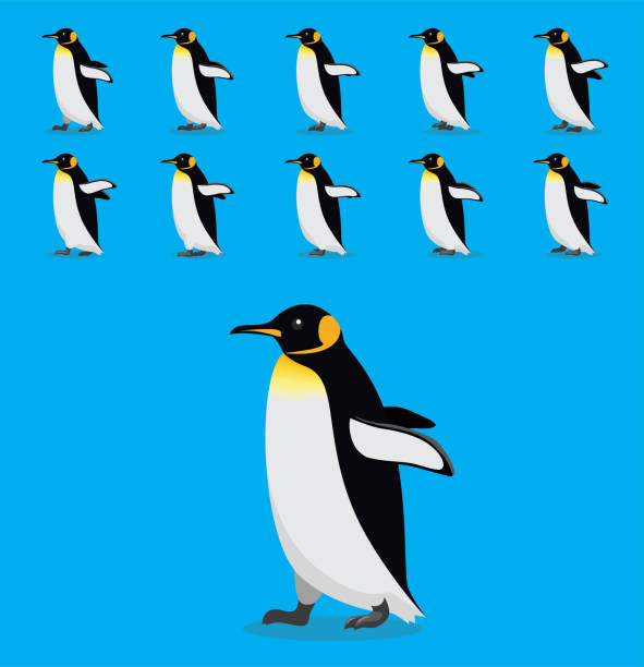 Animal Animation Sequence King Penguin Cartoon Vector Stock Illustration -  Download Image Now - iStock