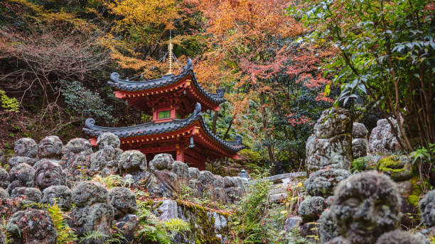 buddista giapponese otagi nenbutsu-ji tempio pagoda autunno panorama kyoto giappone - shinto japan temple nature foto e immagini stock