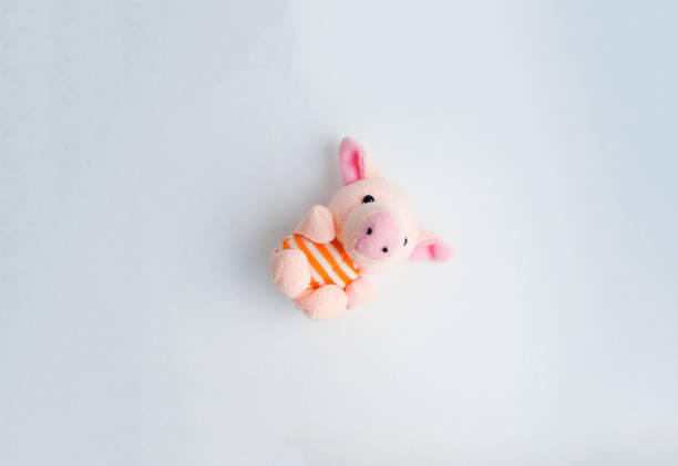 soft toy pink pig on a light background, cute plush pig, symbol of the year, gift for a child, romantic gift, free space for text, sample of hand-made toys, factory soft toys, clothes for soft toys
