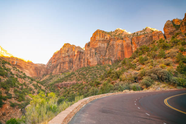 на изогнутой дороге национальный парк сион, штат - plant sunset utah canyon стоковые фото и изображения