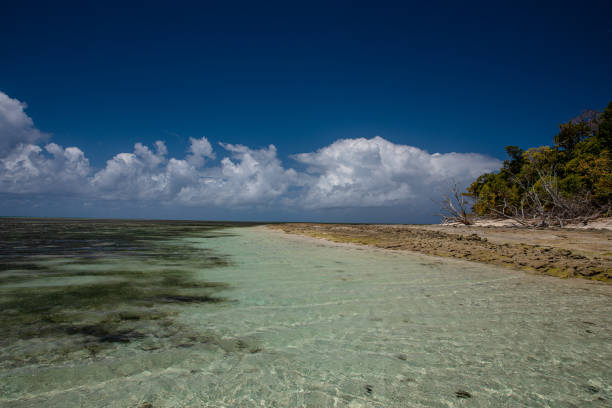 istock Green Island - Great Barrier Reef 1286263192