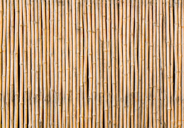 fence made of bamboo sticks