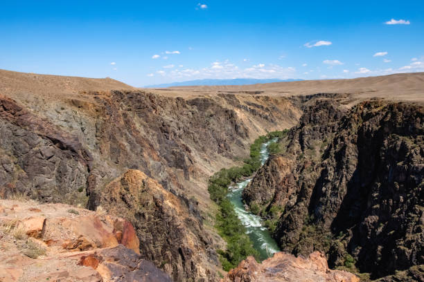 istock Beautiful Charyn river canyon. Summer landscape background. Summer river valley landscape. 1286264285