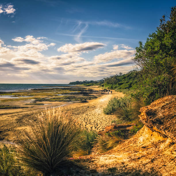 Sunset at Beaumaris Beach, Melbourne, Victoria, Australia - Oct 2020