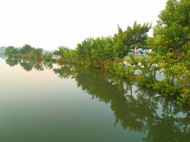 istock Rural scene with water site 1286267936