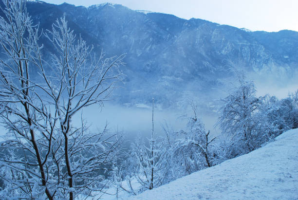 istock cold and fog on the river in winter 1286268013