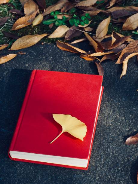 istock Red book and autumn maple, Ginkgo leaves 1286268069