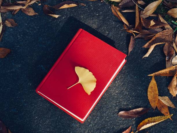 istock Red book and autumn maple, Ginkgo leaves 1286268101