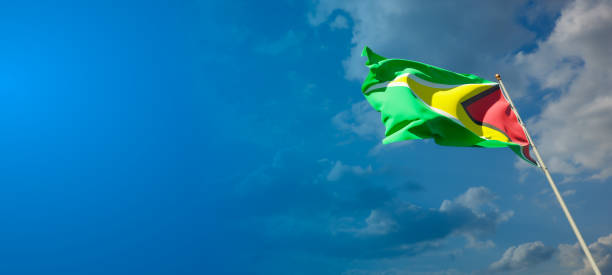 istock Guyana national flag with blank text space on wide background. 1286268177
