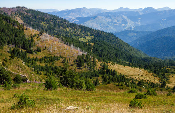 istock Amazing Mountain Landscape 1286269306