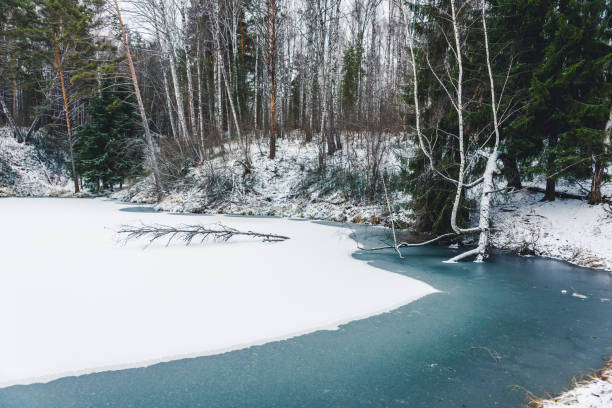 istock Small beautiful pond in the snow forest. Winter landscape. 1286269523