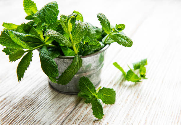 istock Fresh mint in bucket on a white woodwn table 1286272406