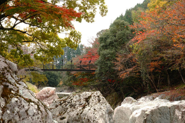 istock Autumn scenery of Yabakei, which has reached the time of autumn leaves 1286273473