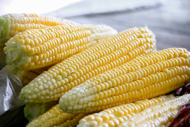 istock Close-up of corn peeled on the table. 1286275525