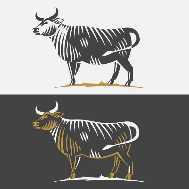 black angus bull sylwetka logo. - steak filet mignon elegance restaurant stock illustrations
