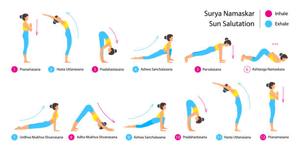 ilustrações, clipart, desenhos animados e ícones de surya namaskar a sun salutation yoga asanas sequência definir ilustração vetorial. - saudação ao sol