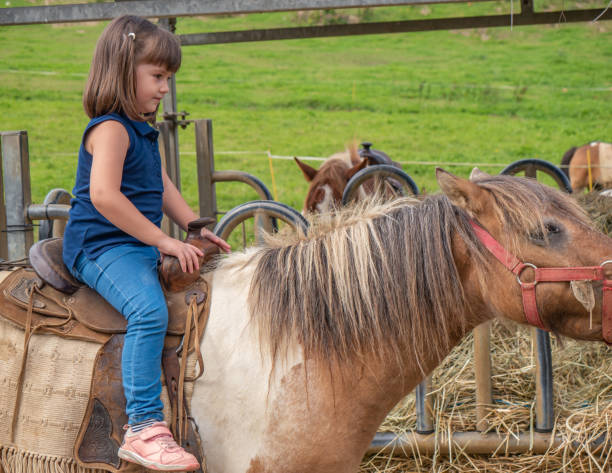 istock Girl with two pigtails riding a pony 1286279846