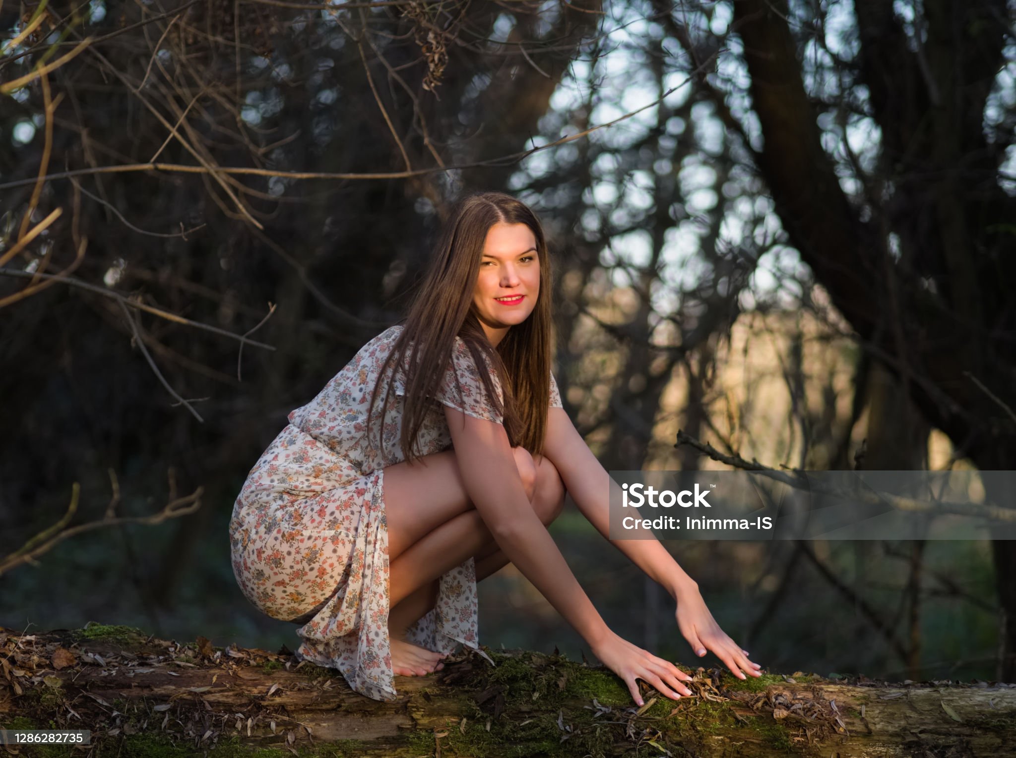 https://media.istockphoto.com/id/1286282735/photo/woman-in-floral-dress-squatting-on-a-tree-in-the-forest.jpg?s=2048x2048&amp;w=is&amp;k=20&amp;c=be1FeEa0Q21cy_d4Ai6a7dCuwNBX2Y44N-1E-SDnAWE=