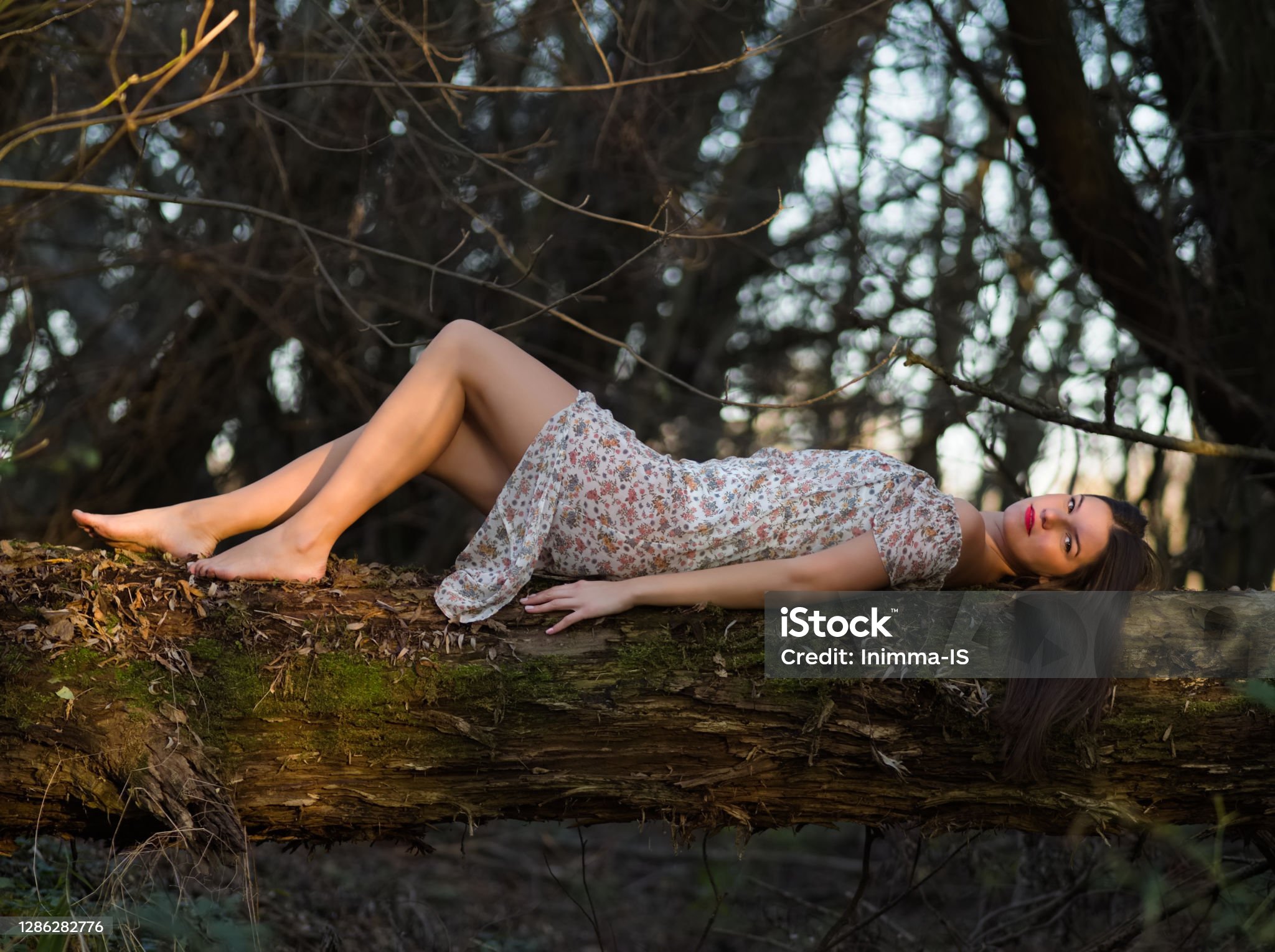 https://media.istockphoto.com/id/1286282776/photo/woman-in-floral-dress-laying-on-a-tree-in-the-forest.jpg?s=2048x2048&amp;w=is&amp;k=20&amp;c=cZyfBLfTYTmlISXGAIvA0bQRT8hCHvgbdPCTBzSUT3Q=