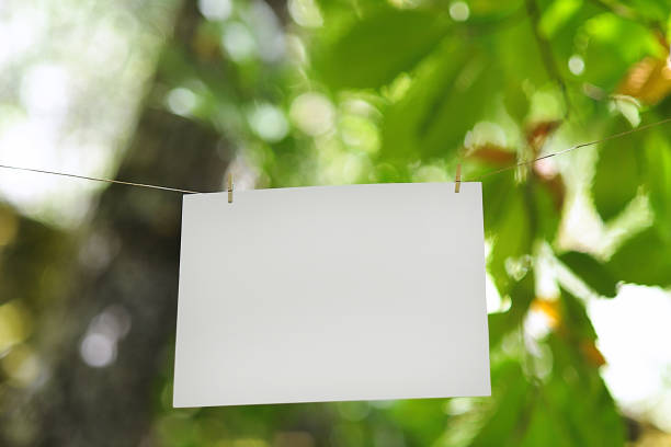 istock Rope laid with paper in the forest with komorabi light 1286285126