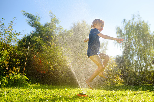 Funny little boy playing with garden sprinkler in sunny backyard. Preschooler child laughing, jumping and having fun with spray of water. Summer outdoors activity for kids.