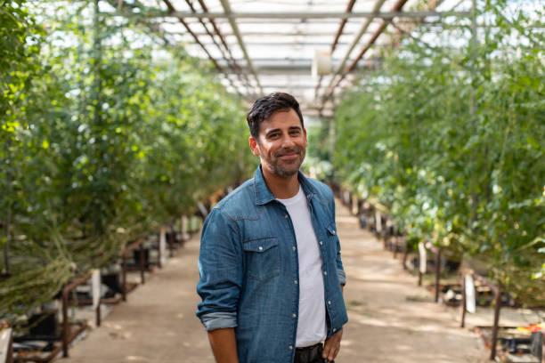 istock A man working in a farmers market 1286288793