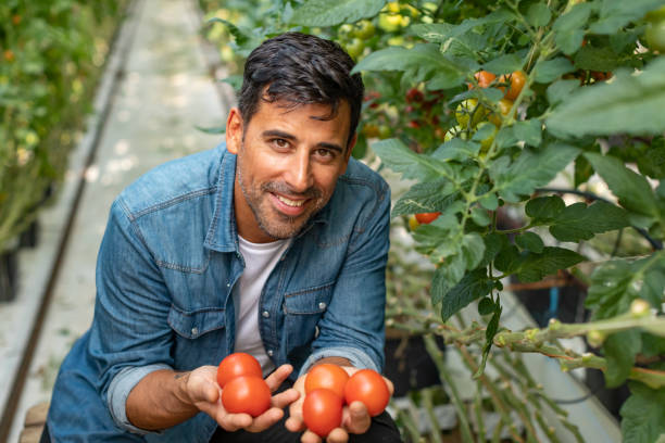 istock A man working in a vegetable garden 1286288797