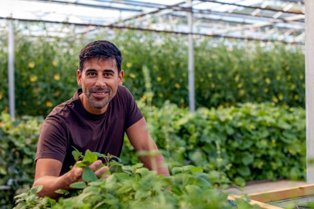 istock A man working in a vegetable garden 1286288952
