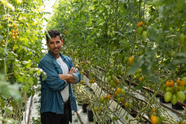 istock A man working in a farmers market 1286288967