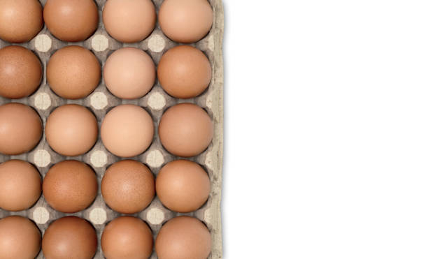 istock A top view of a hen's egg in a panel on a white background 1286289749