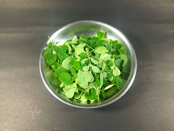 Moringa oleifera leaves in the bowl on black background. Moringa oleifera leaves in the bowl on black background. this tree is the family of Moringaceae. It has many other names like include moringa, drumstick tree, horseradish tree, ben oil tree, benzolive. moringa leaves stock pictures, royalty-free photos & images