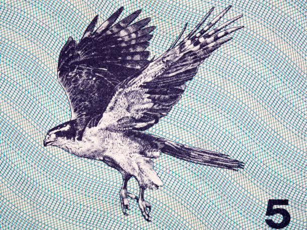 istock Falcon a portrait from Lithuanian money 1286290019