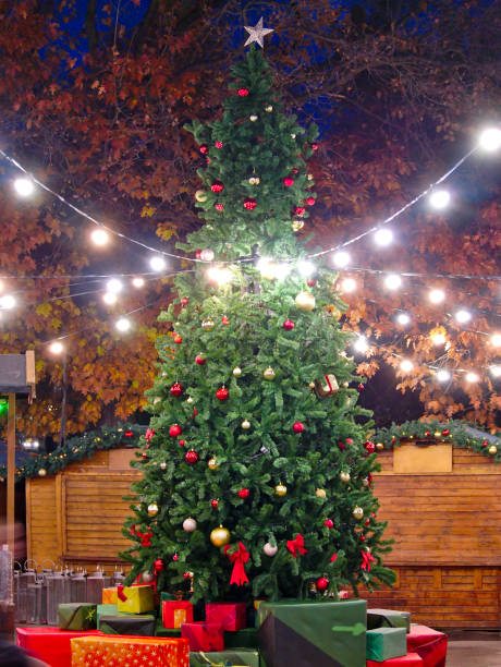 istock Outdoor Christmas Tree 1286291236