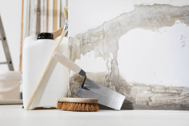 istock Close up frontal view of bricklayer, plasterer or house painter tools on white floor with primer jerry can in home renovation site with copy space 1286292282