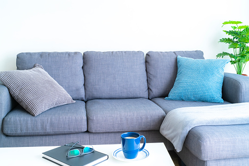 Home interior: front view of a modern domestic living room with 3 seats gray couch with white table. A gray blanket is on the couch and two pillows complete the set. A blue coffee or hot chocolate mug, book and eyeglasses are on the table. Green plant leaves are visible at the right. Predominant colors are gray and white. High resolution 42Mp indoors digital capture taken with SONY A7rII and Zeiss Batis 40mm F2.0 CF lens