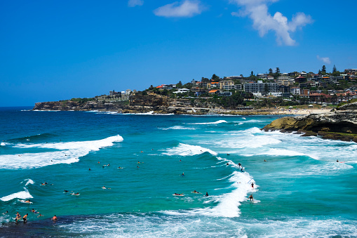 Lots of surfers in Australian ocean (Sydney)