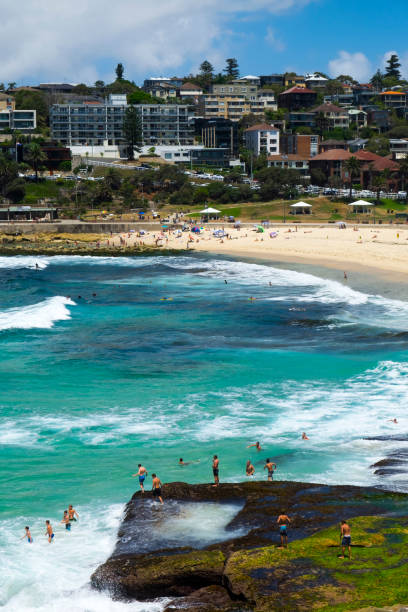 istock Surfers with city background 1286304560