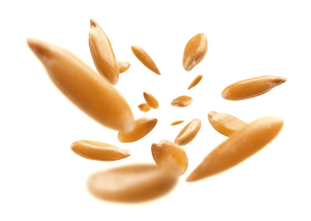 istock Flax seeds are levitated on a white background 1286305223