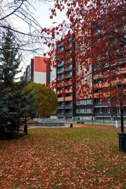 istock trees standing in front of a multi-storey building 1286308684