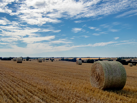 Loading hay bales after wheat harvest on a beautiful sunny day