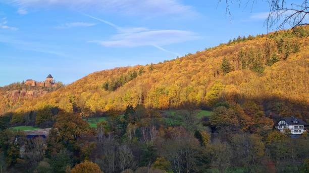 istock Golden afternoon light and colorful foliage in German Eifel mountains 1286316912