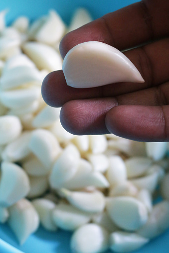 Stock photo showing a close-up of group of fresh, peeled garlic cloves prepared ready for cooking. One clove can be seen held over blue bowlful prepared garlic cloves in the hand of an unrecognisable person.