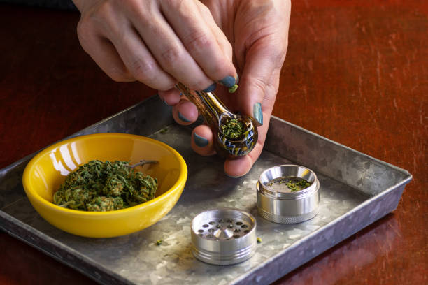 Woman's Hands Filling Glass Pipe with Medical Marijuana or Hemp Flowers Over Tray with Smoking Accessories Close up of an anonymous woman's hands filling a borosilicate glass pipe or bowl with ground cannabis buds. The woman is holding the pipe while filling it over a metal tray with smoking accessories. pipe smoking pipe stock pictures, royalty-free photos & images