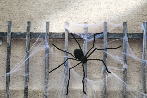 istock Big black spider on house fence, halloween concept 1286322670